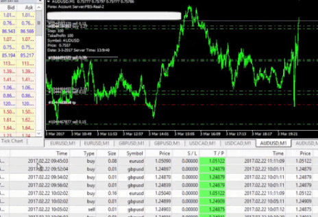 Forex Automated Trading Robot